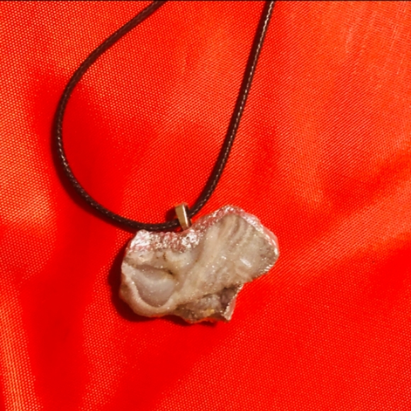 Meet your Posher, Sonoran Uniquities - Picture 3 of 10